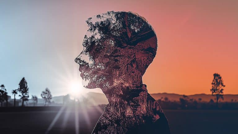 Double exposure of a silhouette of a person's profile and a sunset with trees and landscape: introspection and nature concept.