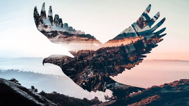 Double exposure of a silhouette of an eagle in flight and a cityscape with a sunset sky: freedom and urban life concept.