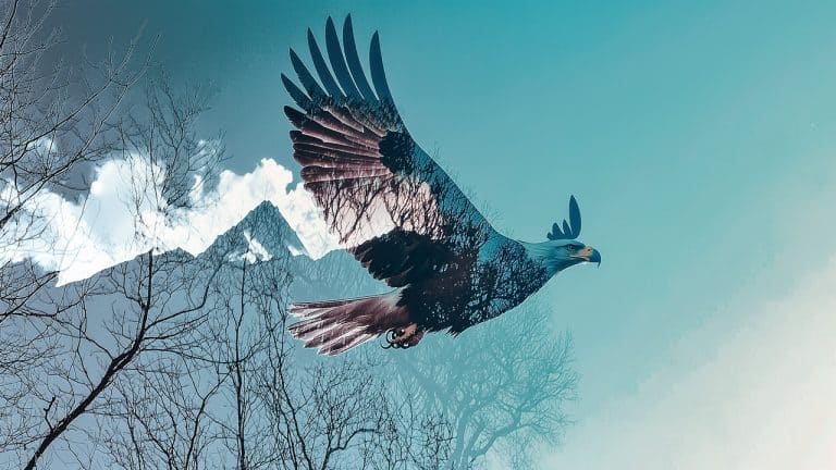 Double exposure of an eagle soaring in the sky and a mountain peak with bare trees: freedom and nature concept.