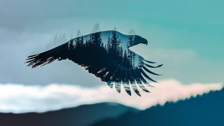 Double exposure of an eagle in flight and a forest silhouette: freedom and nature concept.