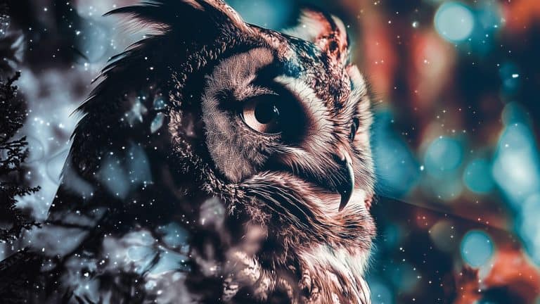 Double exposure of a close-up owl with sharp eyes and detailed feathers