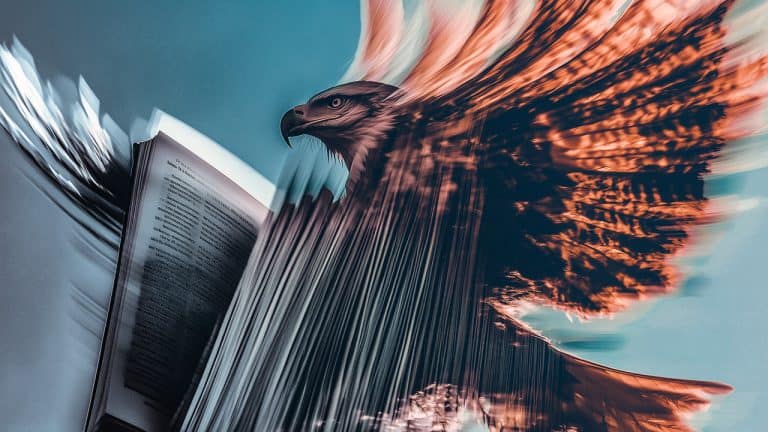 Double exposure of an open book with visible text and an eagle in flight with wings spread: knowledge and freedom concept.