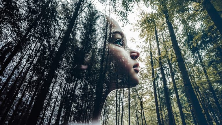 Double exposure of a child's profile and a dense green forest with tall trees: connection with nature concept.