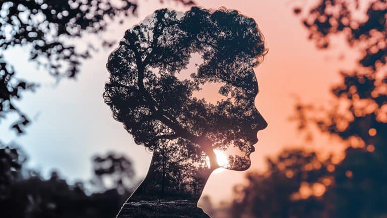Double exposure of a person's profile silhouette and tree branches with leaves against a sunset: harmony with nature concept.