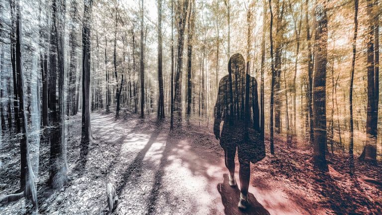 Double exposure of a person walking on a forest path and a dense green forest with sunlight filtering through the trees: solitude and nature concept.