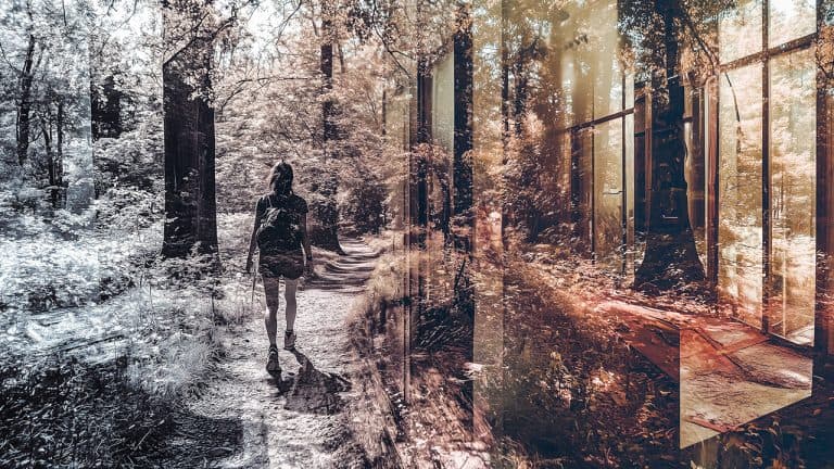 Double exposure of a person walking on a forest path and an interior view of a glass-walled room with trees visible: harmony with nature concept.
