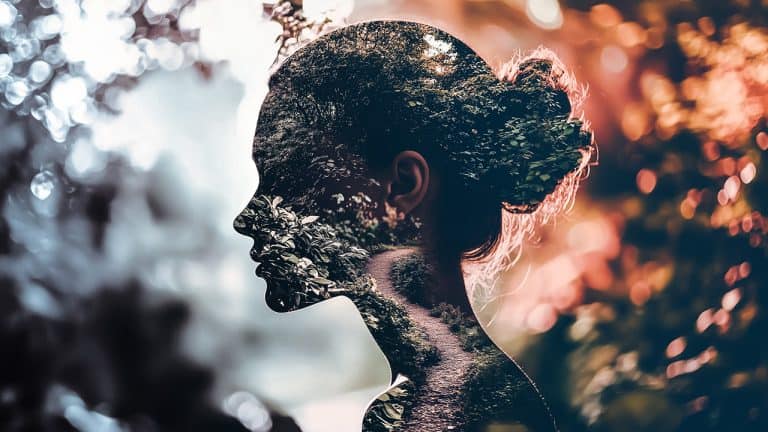 Double exposure of a woman's head silhouette in profile and a lush green forest path: harmony with nature concept.