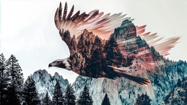 Double exposure of an eagle in flight and forested mountains at sunset: freedom and nature concept.