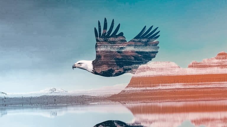 Double exposure of a bald eagle soaring and a desert landscape with mesas reflected in water: freedom and nature concept.