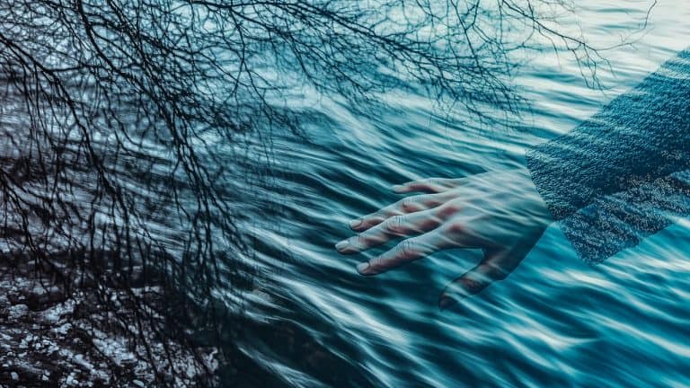 Double exposure of a hand reaching towards flowing water and bare tree branches reflected on the surface: connection with nature concept.