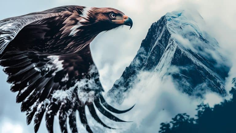 Double exposure of a close-up of a soaring eagle and a snow-capped mountain peak shrouded in clouds: freedom and majesty concept.