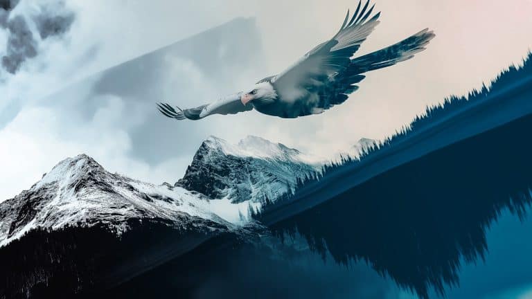 Double exposure of an eagle soaring with wings spread wide and a snow-capped mountain reflected in a lake: freedom and reflection concept.