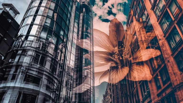 Double exposure of modern glass skyscrapers reflecting the sky