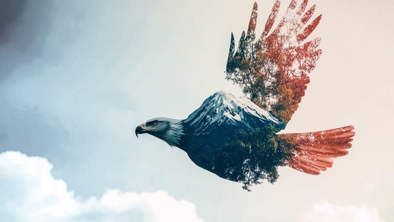Double exposure of a bald eagle in flight and a snow-capped mountain with a forest: freedom and nature concept.