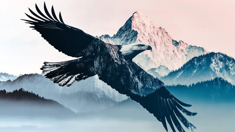 Double exposure of a soaring eagle with wings spread and a snow-capped mountain range: freedom and majesty concept.